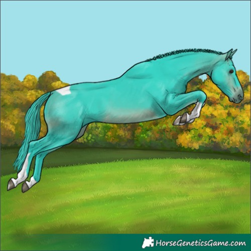 Horse Color:Watercolor Brown Tobiano 