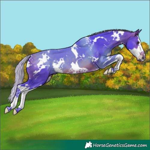 Horse Color:Watercolor White Spotted Silver Brown Splash 