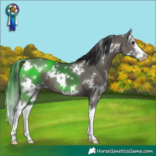Horse Color:White Spotted Grullo Splash 