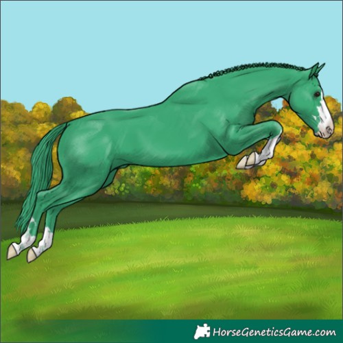 Horse Color:Watercolor Black 