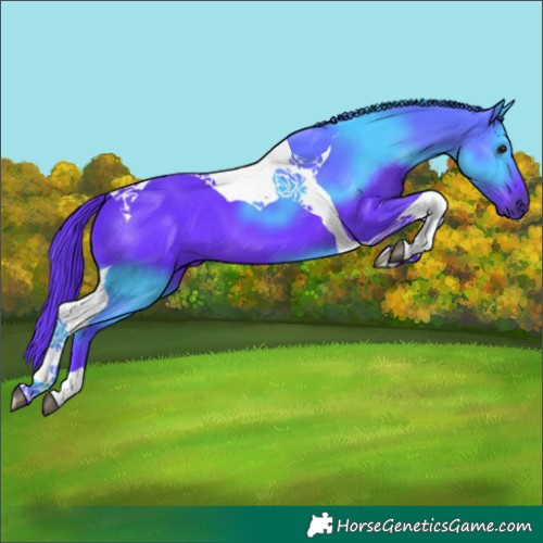 Horse Color:Watercolor Black Tobiano 
