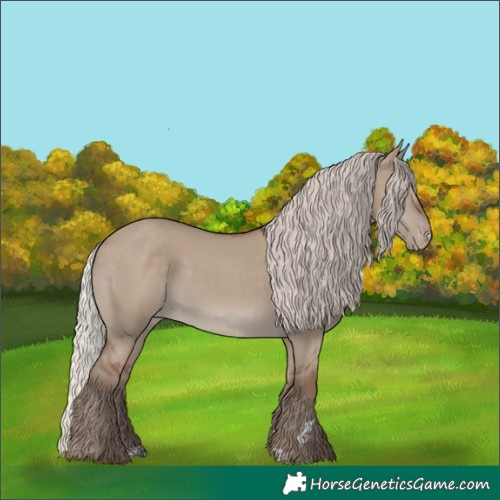 Horse Color:Silver Grullo Appaloosa