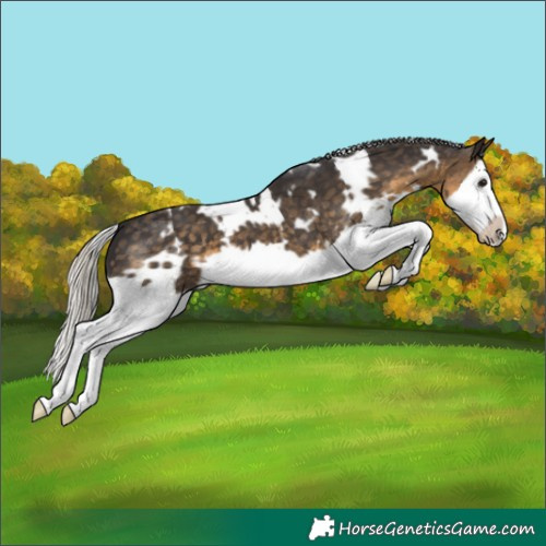 Horse Color:White Spotted Silver Smoky Black Splash Frame