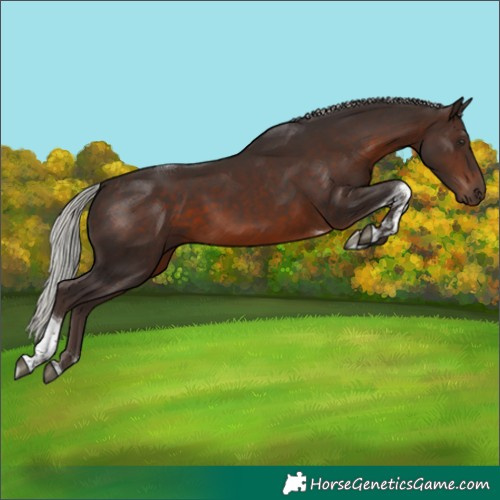 Horse Color:Silver Brown Tobiano 