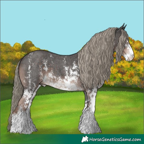 Horse Color:Liver Chestnut Mushroom Sabino