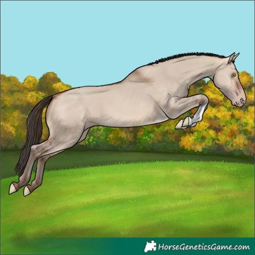 Horse Color:Amber Champagne Dun