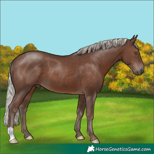 Horse Color:Silver Black 