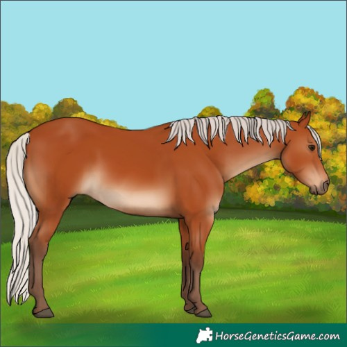 Horse Color:Silver Bay