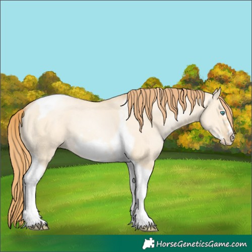 Horse Color:Buckskin Pearl Dun Tobiano Frame 