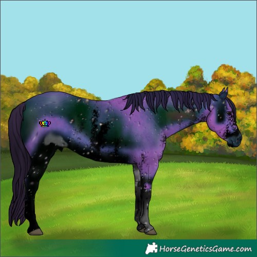 Horse Color:ERROR: UNKNOWN ANOMALY