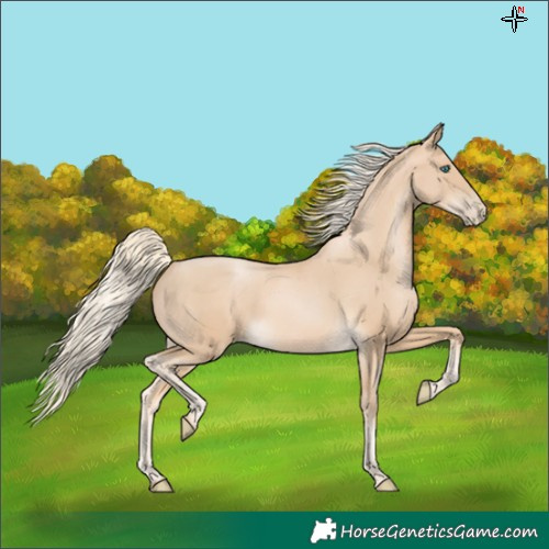 Horse Color:Palomino Pearl 