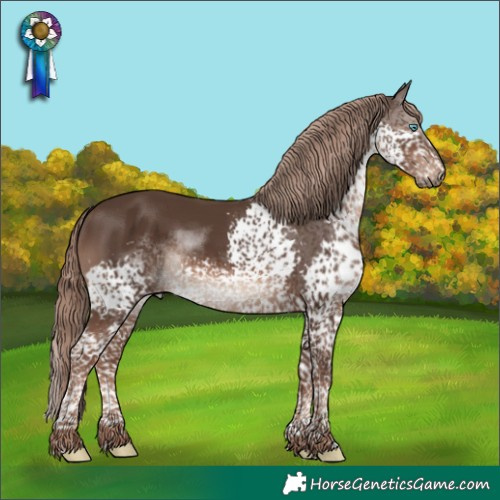 Horse Color:Liver Chestnut Splash Tobiano Rabicano