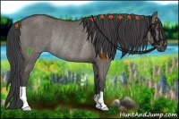 Horse Color:Smoky Grullo Rabicano 
