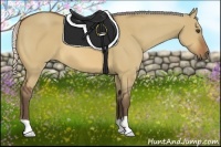 Horse Color:Silver Bay Dun