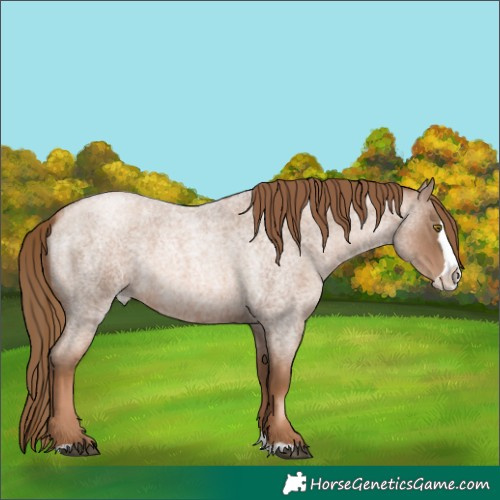 Horse Color:Liver Red Roan Pearl Splash