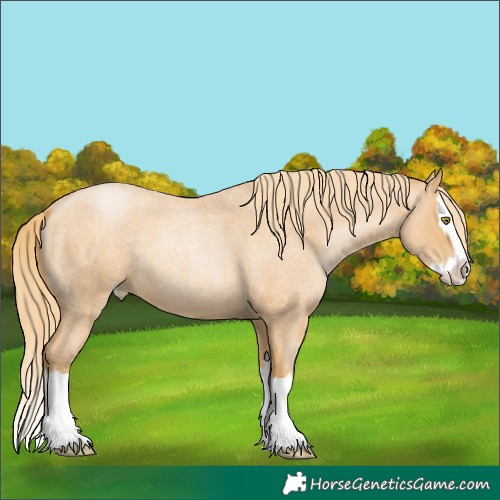 Horse Color:Red Roan Pearl Splash