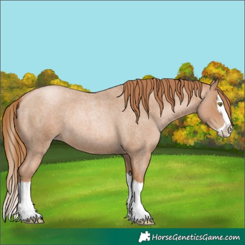 Horse Color:Red Roan Pearl Splash