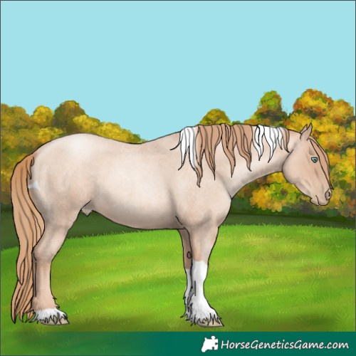 Horse Color:Gold Champagne Roan Pearl Tobiano