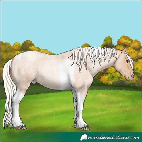 Horse Color:Silver Classic Champagne Roan Pearl Tobiano 
