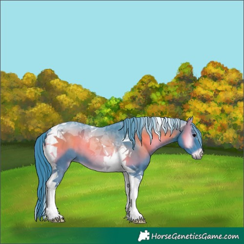 Horse Color:Watercolor Blue Onyx Tobiano 