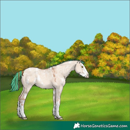 Horse Color:Painted White Spotted Gold Champagne Ice Dun Splash 