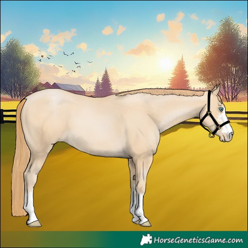 Horse Color:Smoky Black Pearl 