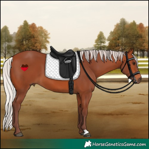Horse Color:Chocolate Silver Brown