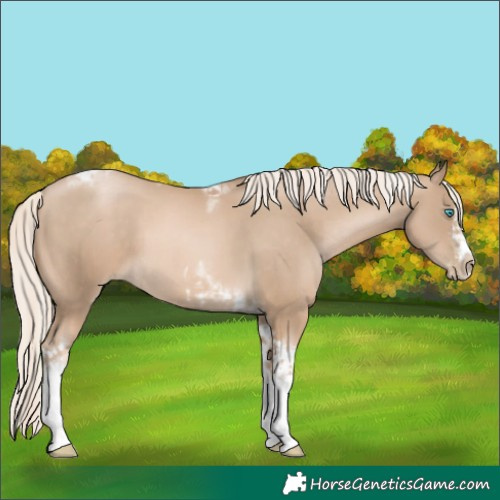 Horse Color:Chocolate Palomino Pearl Tobiano Frame  and Chocolate Palomino Pearl Splash Tobiano Frame 