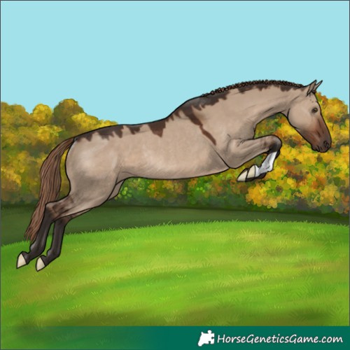 Horse Color:Liver Red Dun Rabicano