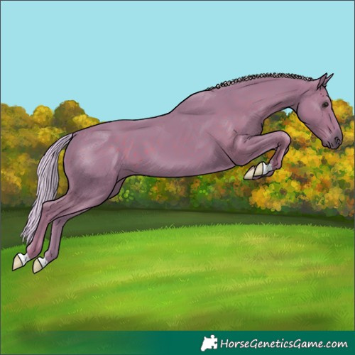 Horse Color:Watercolor Silver Black 