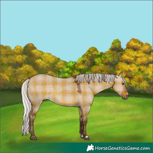 Horse Color:Plaid  Silver Brown Dun Rabicano 