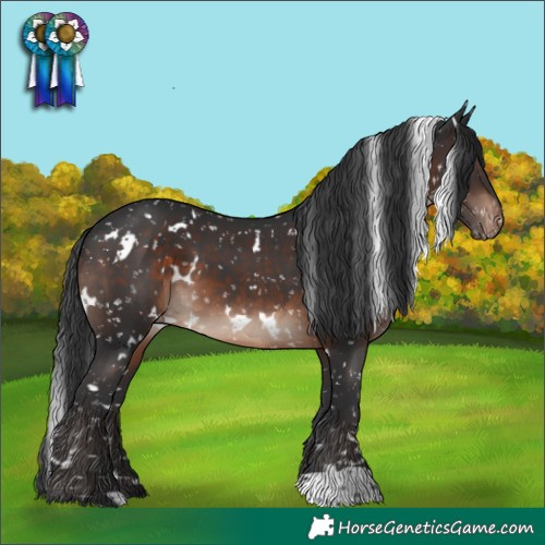 Horse Color:White Spotted Brown Mushroom Appaloosa