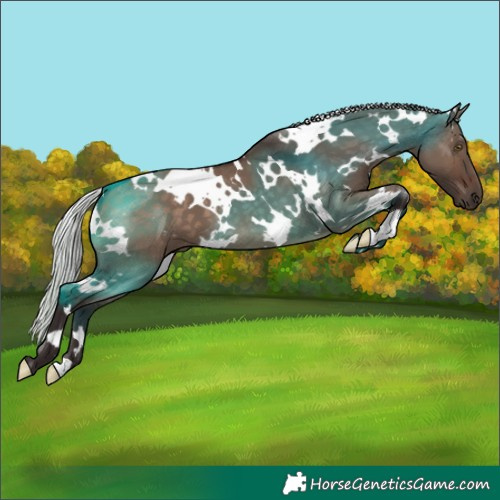 Horse Color:White Spotted Silver Brown Dun 