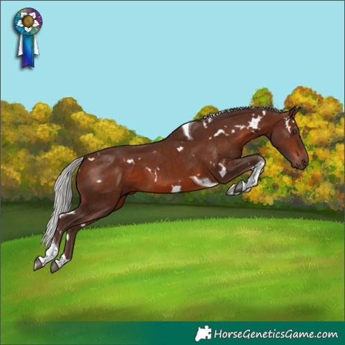 Horse Color:White Spotted Silver Bay Tobiano