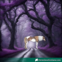 Horse Color:Liver Chestnut Sabino Splash Tobiano Frame Rabicano