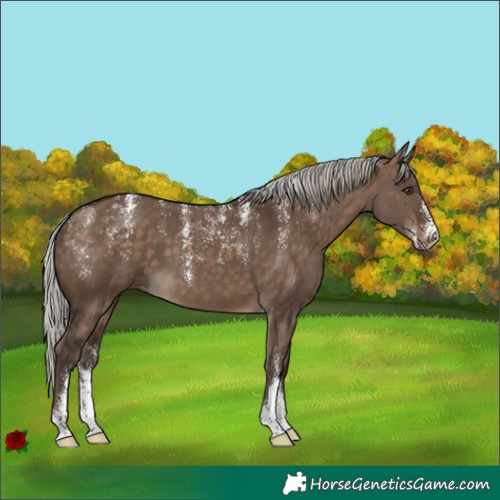 Horse Color:Powder White Silver Brown Dun 