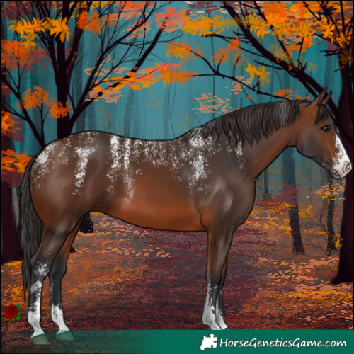 Horse Color:Powder White Brown 