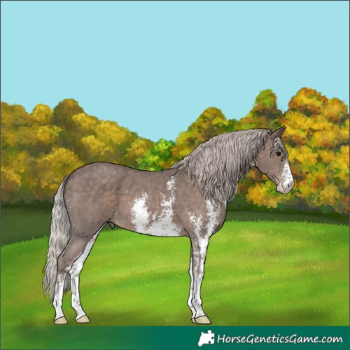 Horse Color:Silver Black Sabino