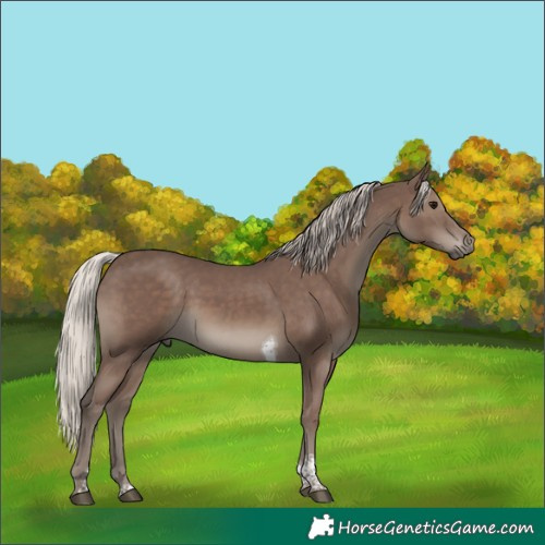 Horse Color:Silver Black Tobiano 