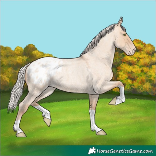Horse Color:Silver Classic Champagne Roan Dun Varnish 