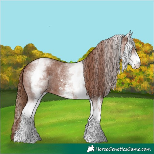 Horse Color:White Spotted Chestnut Sabino 