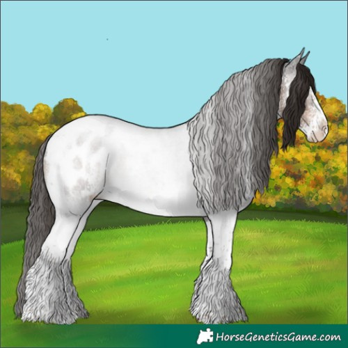 Horse Color:Liver Chestnut Sabino Tobiano Appaloosa