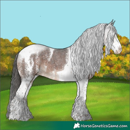 Horse Color:Liver Chestnut Sabino Tobiano 