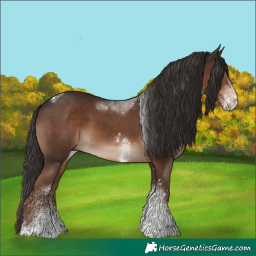 Horse Color:White Spotted Liver Chestnut Tobiano
