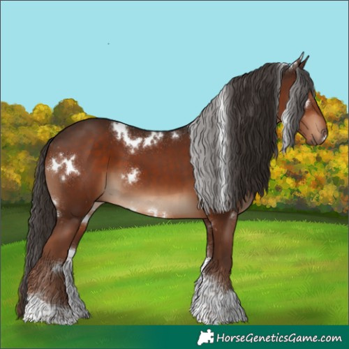 Horse Color:White Spotted Liver Chestnut Tobiano