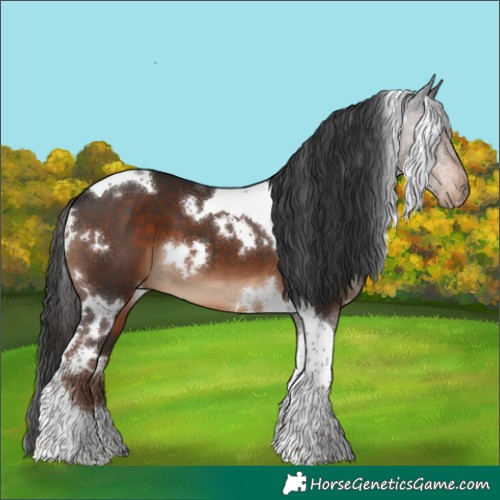 Horse Color:White Spotted Liver Chestnut Tobiano 