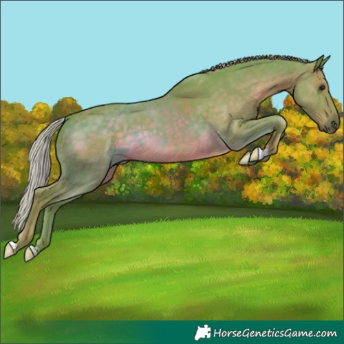 Horse Color:Watercolor Silver Black
