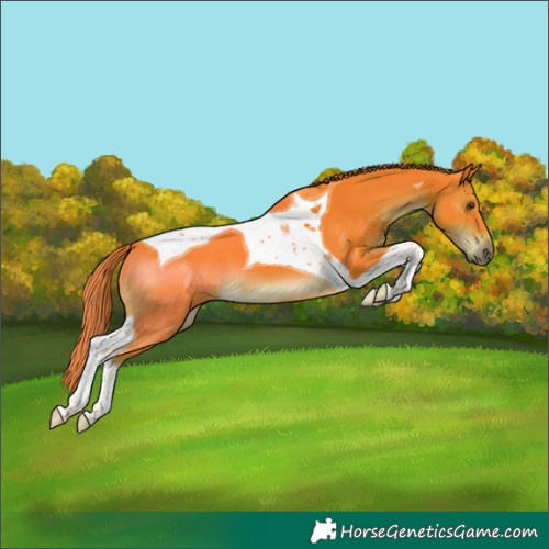 Horse Color:Watercolor Liver Chestnut Tobiano