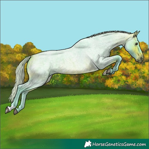 Horse Color:Watercolor Silver Bay Roan Rabicano 
