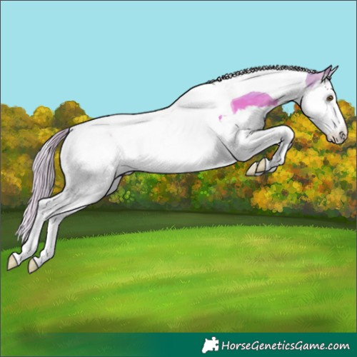 Horse Color:Watercolor Silver Brown Dun Splash Tobiano